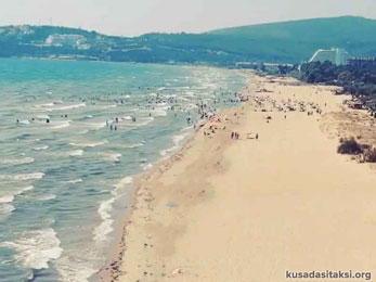 kuşadası - pamucak
